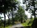 DSC01482