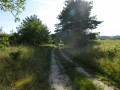 DSC01483