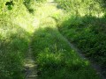 DSC01484