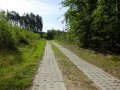 DSC01485