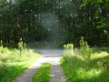 DSC01487
