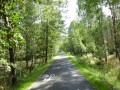 DSC01498