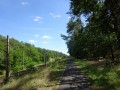 DSC01508
