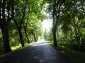 DSC01510
