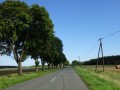 DSC01516