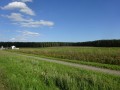 DSC01517