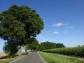 DSC01519