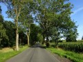 DSC01521