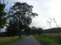 DSC01565