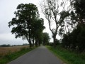 DSC01566