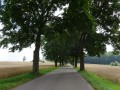 DSC01571