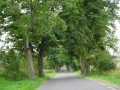 DSC01573
