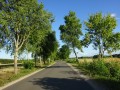 DSC01579