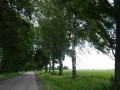 DSC01049