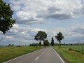 DSC01050