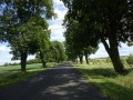 DSC01052