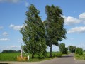 DSC01053