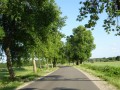 DSC01061