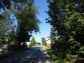 DSC03536