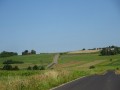 DSC03539