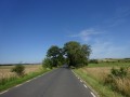 DSC03541