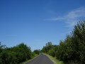 DSC03544