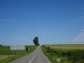 DSC03546