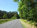 DSC03549