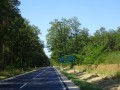 DSC03553