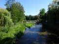 DSC03557