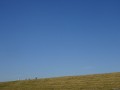 DSC03560