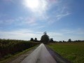 DSC03562
