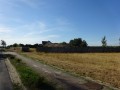 DSC03565