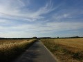 DSC03567