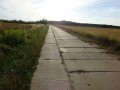 DSC03568