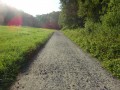 DSC03571