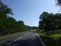 DSC03577