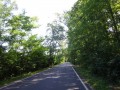 DSC03578