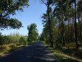 DSC03581