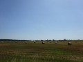 DSC03588