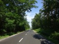 DSC03590