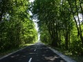 DSC03591