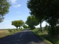DSC03594