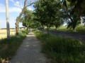 DSC03603