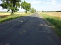 DSC03604
