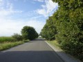 DSC03607