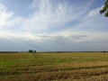 DSC03608