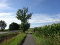 DSC03620