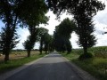 DSC03632
