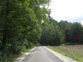DSC03634